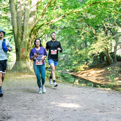 28.09.2025 - 33. Volkslauf durch das schöne Alstertal Dr. Thomas Lammeyer http://msf.ph/oto/8953775 28.09.2025 10:36:54 Laufen 2446, 2453 meine-sportfotos.de