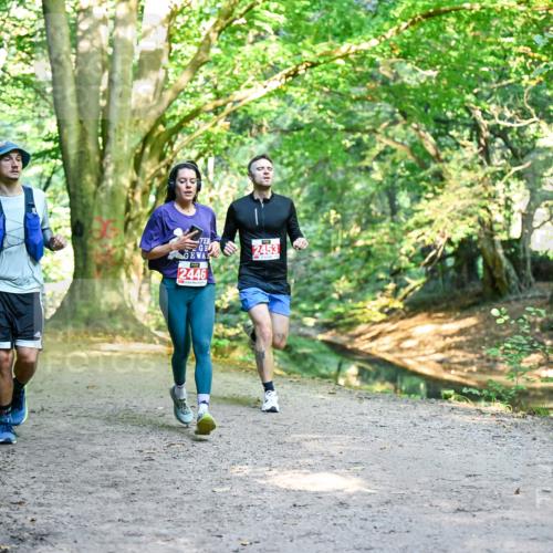 28.09.2025 - 33. Volkslauf durch das schöne Alstertal Dr. Thomas Lammeyer http://msf.ph/oto/8953777 28.09.2025 10:36:54 Laufen 2446, 2453 meine-sportfotos.de