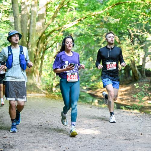 28.09.2025 - 33. Volkslauf durch das schöne Alstertal Dr. Thomas Lammeyer http://msf.ph/oto/8953783 28.09.2025 10:36:55 Laufen 2453, 2446 meine-sportfotos.de