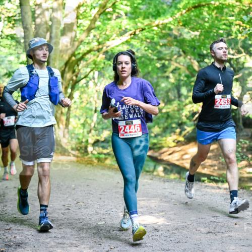 28.09.2025 - 33. Volkslauf durch das schöne Alstertal Dr. Thomas Lammeyer http://msf.ph/oto/8953786 28.09.2025 10:36:55 Laufen 2446, 2453 meine-sportfotos.de