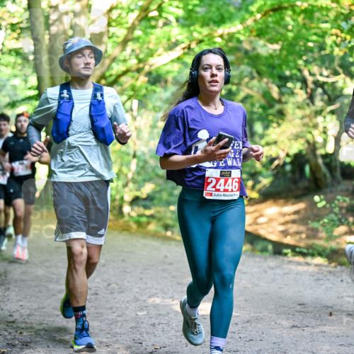 28.09.2025 - 33. Volkslauf durch das schöne Alstertal Dr. Thomas Lammeyer http://msf.ph/oto/8953791 28.09.2025 10:36:55 Laufen 2446, 2453 meine-sportfotos.de