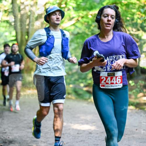 28.09.2025 - 33. Volkslauf durch das schöne Alstertal Dr. Thomas Lammeyer http://msf.ph/oto/8953794 28.09.2025 10:36:56 Laufen 2446 meine-sportfotos.de