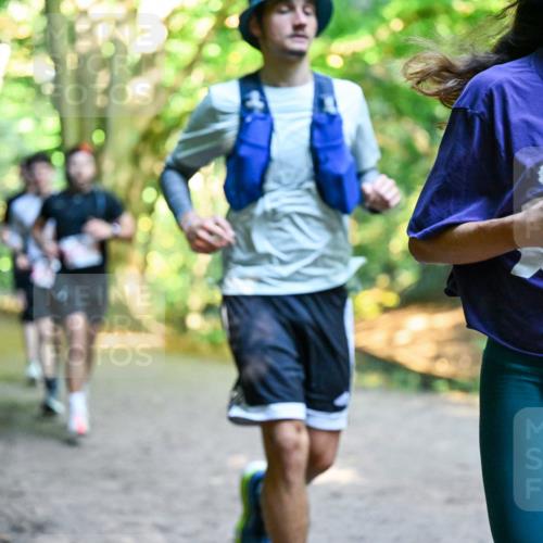28.09.2025 - 33. Volkslauf durch das schöne Alstertal Dr. Thomas Lammeyer http://msf.ph/oto/8953798 28.09.2025 10:36:56 Laufen 2446 meine-sportfotos.de