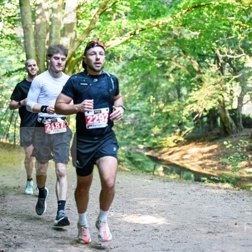 28.09.2025 - 33. Volkslauf durch das schöne Alstertal Dr. Thomas Lammeyer http://msf.ph/oto/8953804 28.09.2025 10:36:57 Laufen 2187, 2292 meine-sportfotos.de