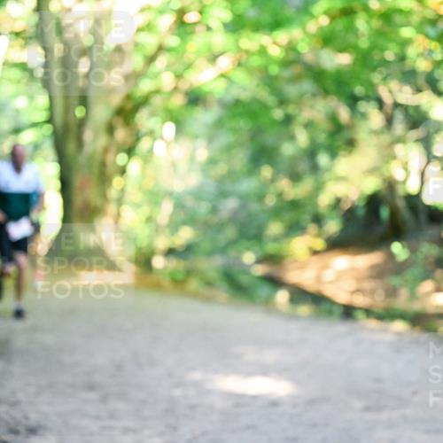 28.09.2025 - 33. Volkslauf durch das schöne Alstertal Dr. Thomas Lammeyer http://msf.ph/oto/8953823 28.09.2025 10:37:00 Laufen  meine-sportfotos.de