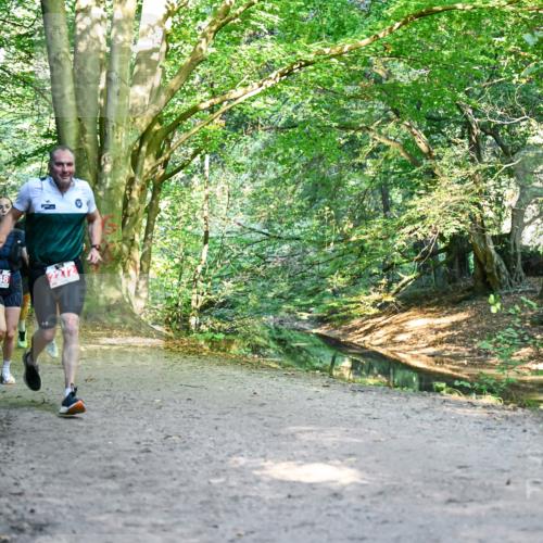 28.09.2025 - 33. Volkslauf durch das schöne Alstertal Dr. Thomas Lammeyer http://msf.ph/oto/8953825 28.09.2025 10:37:00 Laufen 248, 2272 meine-sportfotos.de