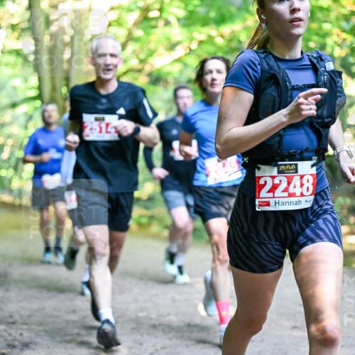 28.09.2025 - 33. Volkslauf durch das schöne Alstertal Dr. Thomas Lammeyer http://msf.ph/oto/8953842 28.09.2025 10:37:03 Laufen 2514, 2248 meine-sportfotos.de