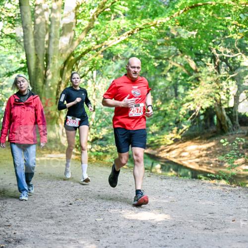 28.09.2025 - 33. Volkslauf durch das schöne Alstertal Dr. Thomas Lammeyer http://msf.ph/oto/8953885 28.09.2025 10:37:18 Laufen 2628, 2570 meine-sportfotos.de