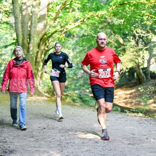28.09.2025 - 33. Volkslauf durch das schöne Alstertal Dr. Thomas Lammeyer http://msf.ph/oto/8953890 28.09.2025 10:37:18 Laufen 2628, 2570 meine-sportfotos.de
