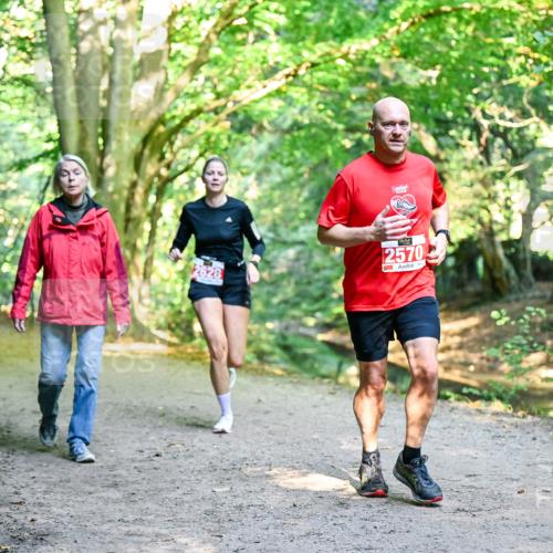 28.09.2025 - 33. Volkslauf durch das schöne Alstertal Dr. Thomas Lammeyer http://msf.ph/oto/8953892 28.09.2025 10:37:18 Laufen 2628, 2570 meine-sportfotos.de