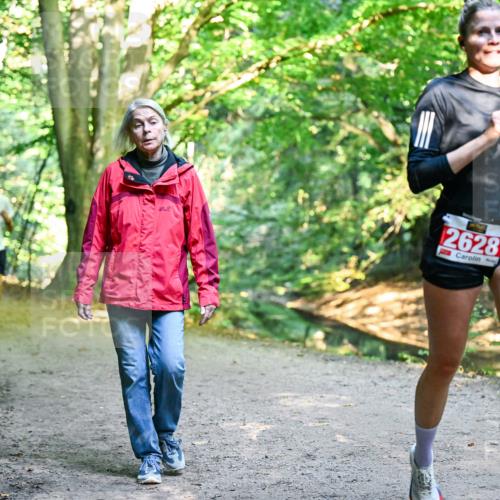 28.09.2025 - 33. Volkslauf durch das schöne Alstertal Dr. Thomas Lammeyer http://msf.ph/oto/8953901 28.09.2025 10:37:20 Laufen 2628 meine-sportfotos.de