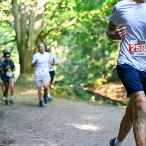 28.09.2025 - 33. Volkslauf durch das schöne Alstertal Dr. Thomas Lammeyer http://msf.ph/oto/8953922 28.09.2025 10:37:24 Laufen 2581 meine-sportfotos.de