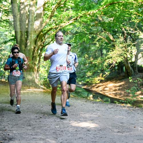 28.09.2025 - 33. Volkslauf durch das schöne Alstertal Dr. Thomas Lammeyer http://msf.ph/oto/8953927 28.09.2025 10:37:25 Laufen 256539, 2634 meine-sportfotos.de