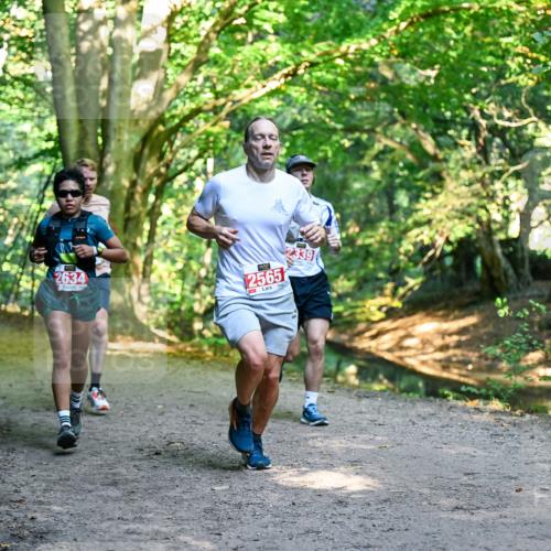 28.09.2025 - 33. Volkslauf durch das schöne Alstertal Dr. Thomas Lammeyer http://msf.ph/oto/8953930 28.09.2025 10:37:25 Laufen 2634, 2565, 339 meine-sportfotos.de
