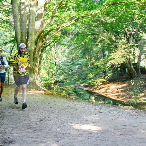 28.09.2025 - 33. Volkslauf durch das schöne Alstertal Dr. Thomas Lammeyer http://msf.ph/oto/8953958 28.09.2025 10:37:31 Laufen 2595, 2494 meine-sportfotos.de