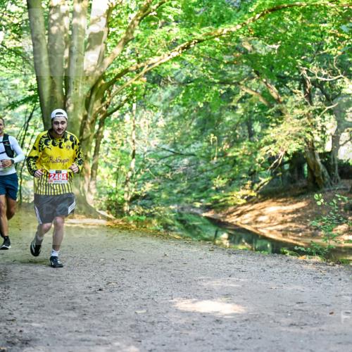 28.09.2025 - 33. Volkslauf durch das schöne Alstertal Dr. Thomas Lammeyer http://msf.ph/oto/8953959 28.09.2025 10:37:31 Laufen 2494 meine-sportfotos.de