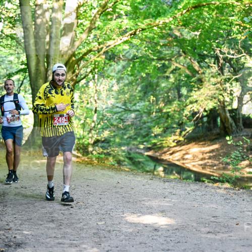 28.09.2025 - 33. Volkslauf durch das schöne Alstertal Dr. Thomas Lammeyer http://msf.ph/oto/8953966 28.09.2025 10:37:32 Laufen 2595, 2494 meine-sportfotos.de