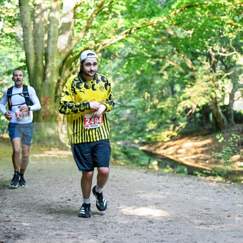 28.09.2025 - 33. Volkslauf durch das schöne Alstertal Dr. Thomas Lammeyer http://msf.ph/oto/8953973 28.09.2025 10:37:32 Laufen 2595, 2494 meine-sportfotos.de