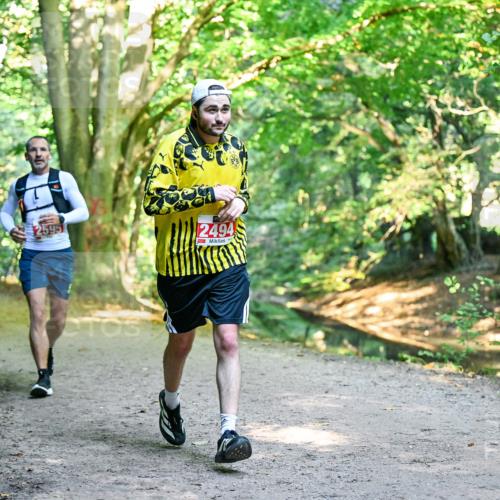 28.09.2025 - 33. Volkslauf durch das schöne Alstertal Dr. Thomas Lammeyer http://msf.ph/oto/8953975 28.09.2025 10:37:33 Laufen 2595, 2494 meine-sportfotos.de
