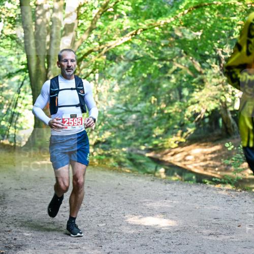 28.09.2025 - 33. Volkslauf durch das schöne Alstertal Dr. Thomas Lammeyer http://msf.ph/oto/8953983 28.09.2025 10:37:34 Laufen 2595, 2494 meine-sportfotos.de