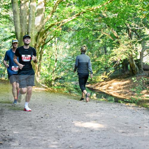 28.09.2025 - 33. Volkslauf durch das schöne Alstertal Dr. Thomas Lammeyer http://msf.ph/oto/8954001 28.09.2025 10:37:42 Laufen 2017, 2233, 2271 meine-sportfotos.de