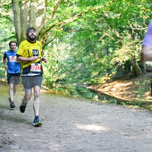 28.09.2025 - 33. Volkslauf durch das schöne Alstertal Dr. Thomas Lammeyer http://msf.ph/oto/8954036 28.09.2025 10:37:46 Laufen 2125, 1, 1, 2017 meine-sportfotos.de