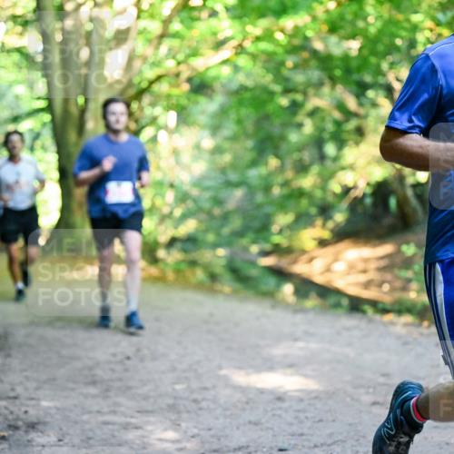 28.09.2025 - 33. Volkslauf durch das schöne Alstertal Dr. Thomas Lammeyer http://msf.ph/oto/8954081 28.09.2025 10:37:51 Laufen 62 meine-sportfotos.de