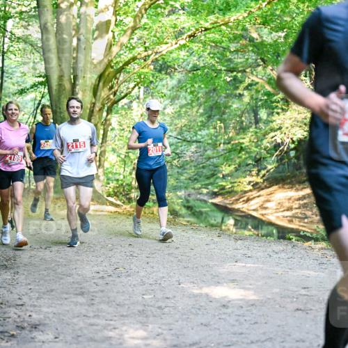 28.09.2025 - 33. Volkslauf durch das schöne Alstertal Dr. Thomas Lammeyer http://msf.ph/oto/8954150 28.09.2025 10:38:01 Laufen 2189, 2425, 2115, 20116 meine-sportfotos.de