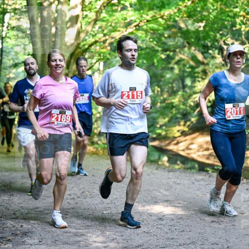 28.09.2025 - 33. Volkslauf durch das schöne Alstertal Dr. Thomas Lammeyer http://msf.ph/oto/8954167 28.09.2025 10:38:03 Laufen 2189, 2115, 2011 meine-sportfotos.de
