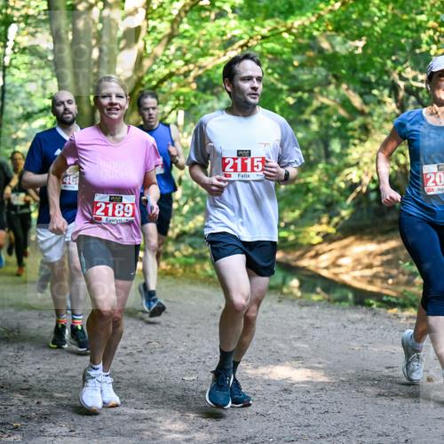 28.09.2025 - 33. Volkslauf durch das schöne Alstertal Dr. Thomas Lammeyer http://msf.ph/oto/8954168 28.09.2025 10:38:03 Laufen 46, 2115, 2189, 2011 meine-sportfotos.de