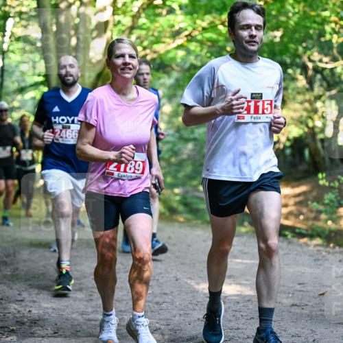 28.09.2025 - 33. Volkslauf durch das schöne Alstertal Dr. Thomas Lammeyer http://msf.ph/oto/8954172 28.09.2025 10:38:03 Laufen 115, 2466, 189, 2 meine-sportfotos.de