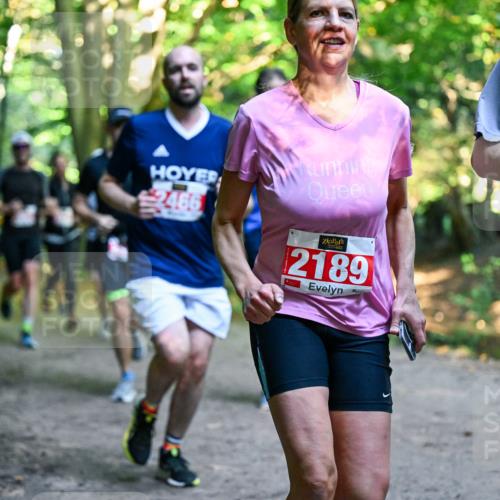 28.09.2025 - 33. Volkslauf durch das schöne Alstertal Dr. Thomas Lammeyer http://msf.ph/oto/8954179 28.09.2025 10:38:04 Laufen 2466, 2189, 21 meine-sportfotos.de