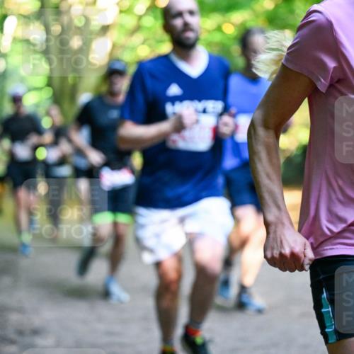28.09.2025 - 33. Volkslauf durch das schöne Alstertal Dr. Thomas Lammeyer http://msf.ph/oto/8954183 28.09.2025 10:38:04 Laufen 144, 2189 meine-sportfotos.de