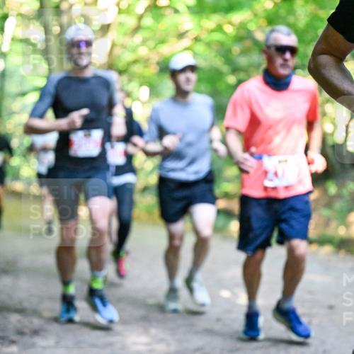 28.09.2025 - 33. Volkslauf durch das schöne Alstertal Dr. Thomas Lammeyer http://msf.ph/oto/8954198 28.09.2025 10:38:06 Laufen  meine-sportfotos.de