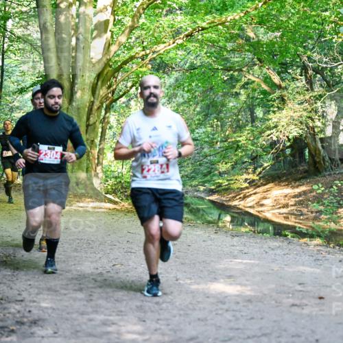 28.09.2025 - 33. Volkslauf durch das schöne Alstertal Dr. Thomas Lammeyer http://msf.ph/oto/8954212 28.09.2025 10:38:08 Laufen 2617, 213, 2304, 2284 meine-sportfotos.de