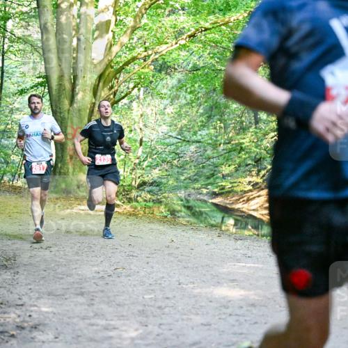 28.09.2025 - 33. Volkslauf durch das schöne Alstertal Dr. Thomas Lammeyer http://msf.ph/oto/8954230 28.09.2025 10:38:11 Laufen 2528 meine-sportfotos.de