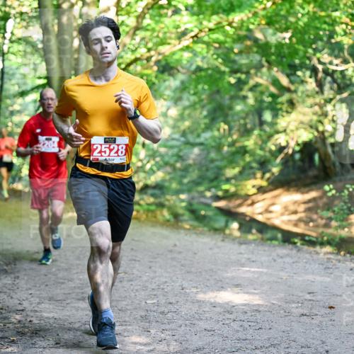 28.09.2025 - 33. Volkslauf durch das schöne Alstertal Dr. Thomas Lammeyer http://msf.ph/oto/8954257 28.09.2025 10:38:15 Laufen 2528 meine-sportfotos.de