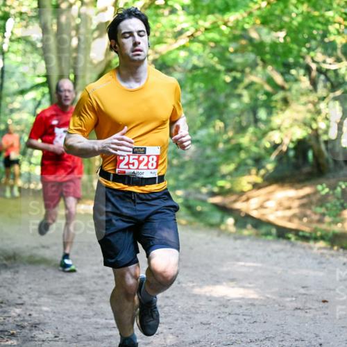 28.09.2025 - 33. Volkslauf durch das schöne Alstertal Dr. Thomas Lammeyer http://msf.ph/oto/8954261 28.09.2025 10:38:15 Laufen 2528 meine-sportfotos.de