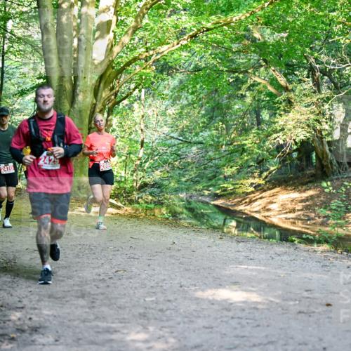 28.09.2025 - 33. Volkslauf durch das schöne Alstertal Dr. Thomas Lammeyer http://msf.ph/oto/8954273 28.09.2025 10:38:18 Laufen 261, 2470, 2086 meine-sportfotos.de