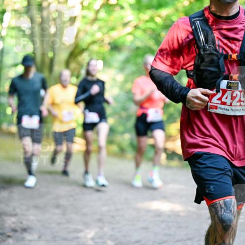28.09.2025 - 33. Volkslauf durch das schöne Alstertal Dr. Thomas Lammeyer http://msf.ph/oto/8954290 28.09.2025 10:38:20 Laufen 2429 meine-sportfotos.de