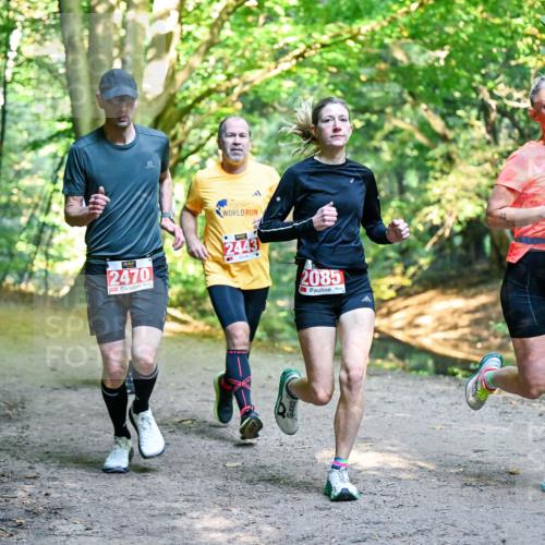 28.09.2025 - 33. Volkslauf durch das schöne Alstertal Dr. Thomas Lammeyer http://msf.ph/oto/8954296 28.09.2025 10:38:21 Laufen 2470, 1, 2443, 2085, 2086 meine-sportfotos.de