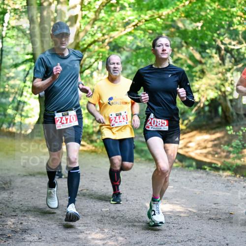 28.09.2025 - 33. Volkslauf durch das schöne Alstertal Dr. Thomas Lammeyer http://msf.ph/oto/8954297 28.09.2025 10:38:21 Laufen 2470, 2443, 2085, 2086 meine-sportfotos.de
