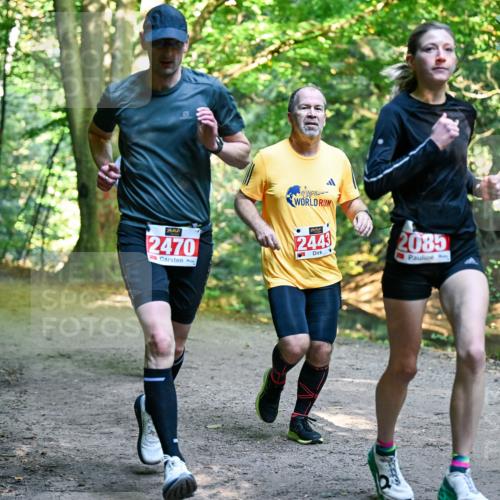 28.09.2025 - 33. Volkslauf durch das schöne Alstertal Dr. Thomas Lammeyer http://msf.ph/oto/8954301 28.09.2025 10:38:21 Laufen 2470, 2443, 2085 meine-sportfotos.de