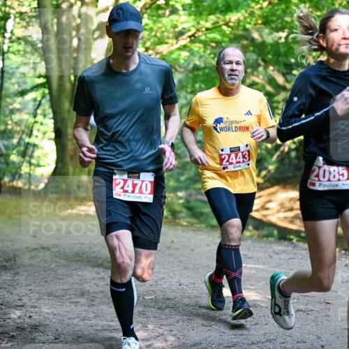 28.09.2025 - 33. Volkslauf durch das schöne Alstertal Dr. Thomas Lammeyer http://msf.ph/oto/8954302 28.09.2025 10:38:21 Laufen 2470, 2443, 2085 meine-sportfotos.de