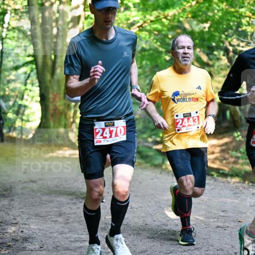 28.09.2025 - 33. Volkslauf durch das schöne Alstertal Dr. Thomas Lammeyer http://msf.ph/oto/8954304 28.09.2025 10:38:21 Laufen 2470, 2443, 2085 meine-sportfotos.de