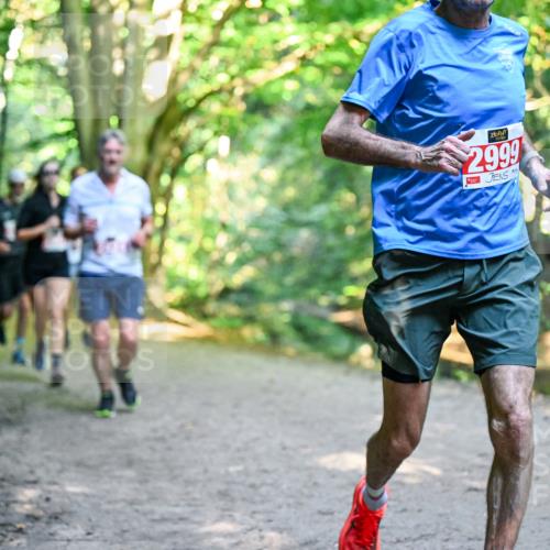 28.09.2025 - 33. Volkslauf durch das schöne Alstertal Dr. Thomas Lammeyer http://msf.ph/oto/8954395 28.09.2025 10:38:38 Laufen 2999 meine-sportfotos.de