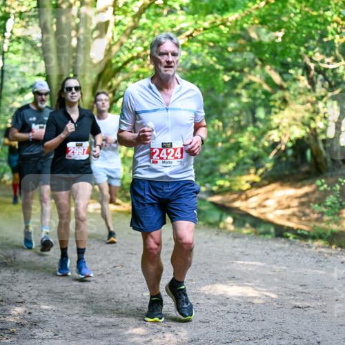 28.09.2025 - 33. Volkslauf durch das schöne Alstertal Dr. Thomas Lammeyer http://msf.ph/oto/8954407 28.09.2025 10:38:40 Laufen 2997, 2424 meine-sportfotos.de