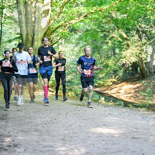 28.09.2025 - 33. Volkslauf durch das schöne Alstertal Dr. Thomas Lammeyer http://msf.ph/oto/8954427 28.09.2025 10:38:43 Laufen 2180, 2562, 2518, 2561, 2210, 2019 meine-sportfotos.de