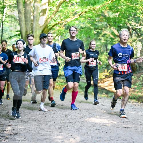 28.09.2025 - 33. Volkslauf durch das schöne Alstertal Dr. Thomas Lammeyer http://msf.ph/oto/8954433 28.09.2025 10:38:44 Laufen 2499, 2180, 2562, 256, 2210, 2019 meine-sportfotos.de