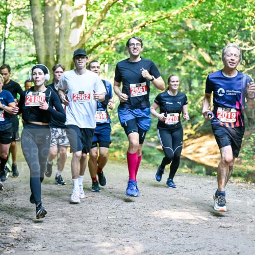 28.09.2025 - 33. Volkslauf durch das schöne Alstertal Dr. Thomas Lammeyer http://msf.ph/oto/8954435 28.09.2025 10:38:44 Laufen 2499, 2180, 2562, 518, 2561, 2210, 2019 meine-sportfotos.de